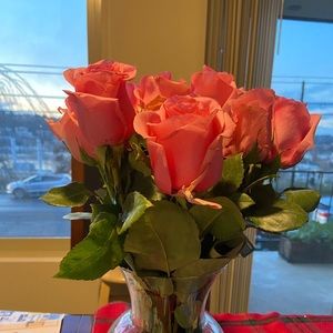 Meet your Posher, Evelyn